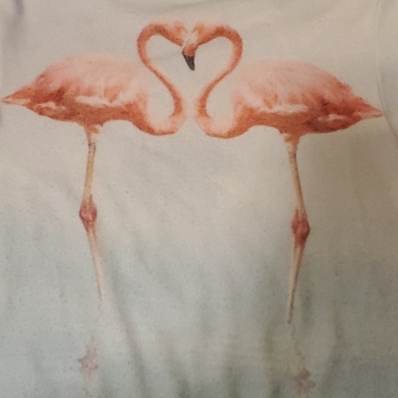 Wildfox flamingo sweatshirt sz xs - Picture 4 of 8